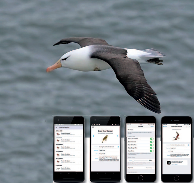 birdwatching aplikace dolu