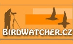 birdwatcher biřrdwatching2018