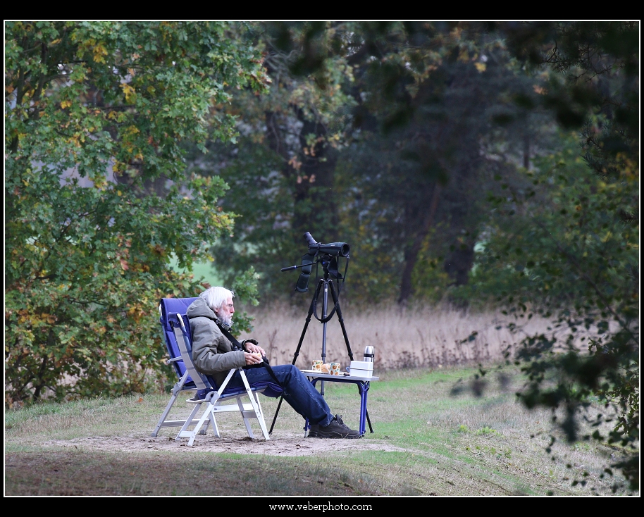 birdwatching.cz jerab popelavy1