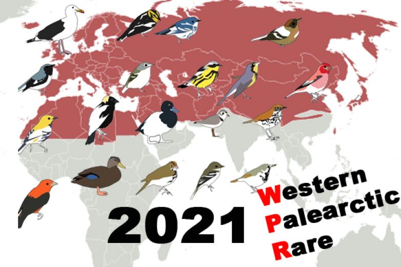 Rarity Western Palearctic 2021
