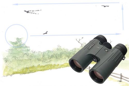 Jak používat dalekohled, abyste našli více ptáků