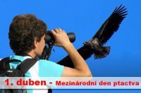 Mezinárodní den Ptactva - 1. duben