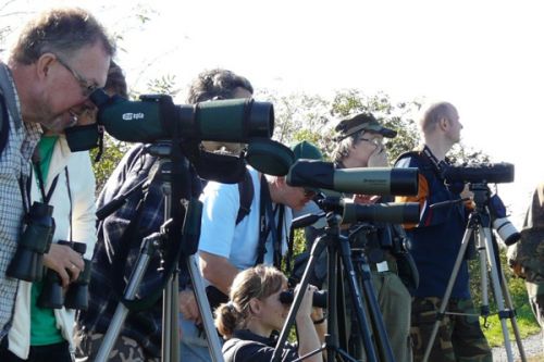 Pozorovatelé ptactva si mohou vyzkoušet kvalitní dalekohledy Meopta