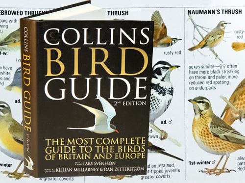 Birdwatching a literatura