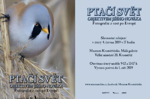 Muzeu Kroměřížska vám představí Ptačí svět objektivem Jiřího Nováka