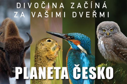 Planeta Česko - dokumentární film